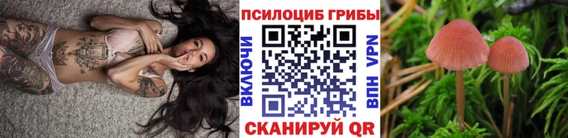 Псилоцибиновые грибы MAGIC MUSHROOMS хочу наркоту Кемерово
