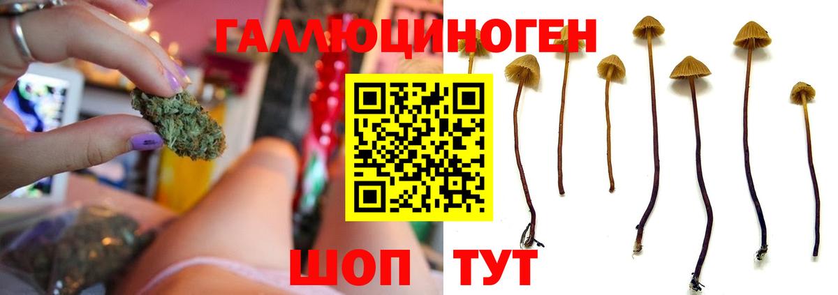Галлюциногенные грибы GOLDEN TEACHER  Галлюциногенные грибы MAGIC MUSHROOMS  Кемерово  Вход с VPN 